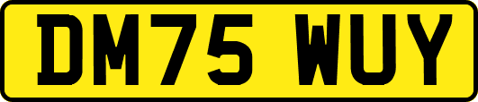 DM75WUY