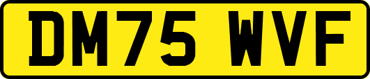 DM75WVF