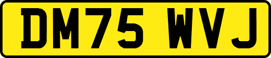 DM75WVJ