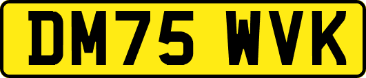 DM75WVK