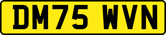 DM75WVN