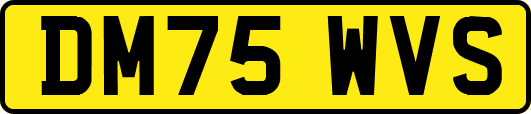 DM75WVS
