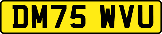 DM75WVU