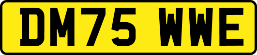 DM75WWE