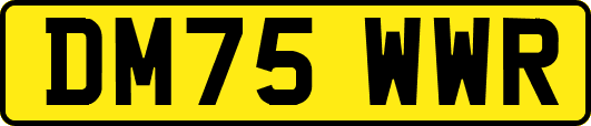 DM75WWR