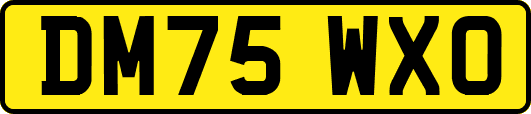 DM75WXO
