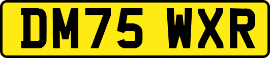 DM75WXR