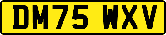 DM75WXV