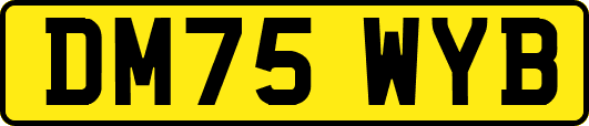DM75WYB