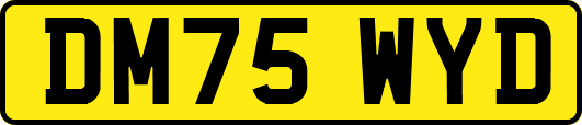 DM75WYD