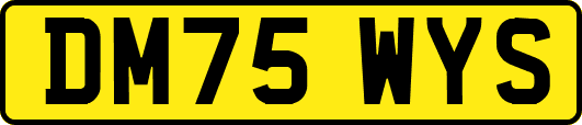 DM75WYS