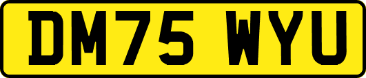 DM75WYU