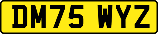 DM75WYZ