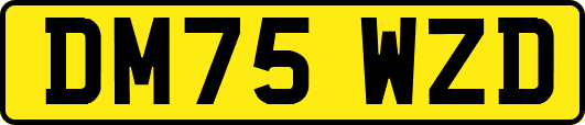 DM75WZD