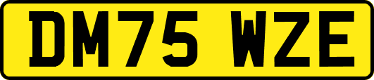 DM75WZE