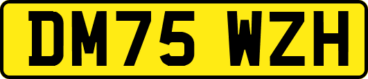DM75WZH