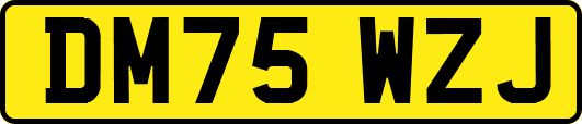 DM75WZJ