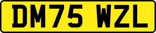 DM75WZL