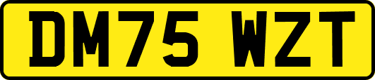 DM75WZT
