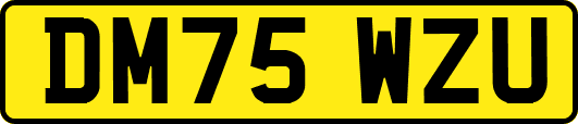 DM75WZU