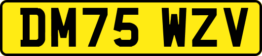 DM75WZV