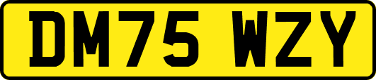DM75WZY