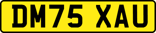 DM75XAU