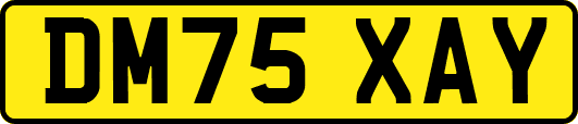 DM75XAY
