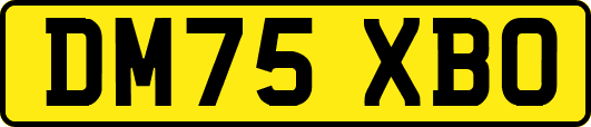 DM75XBO