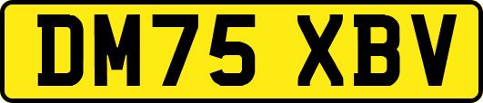 DM75XBV