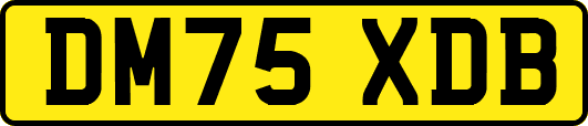 DM75XDB