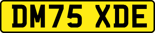 DM75XDE