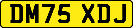 DM75XDJ