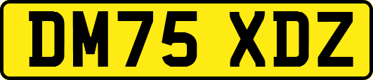 DM75XDZ