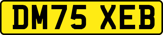 DM75XEB