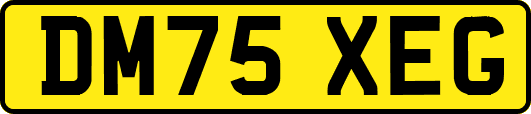 DM75XEG