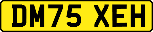 DM75XEH