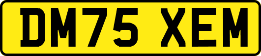 DM75XEM