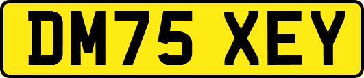 DM75XEY