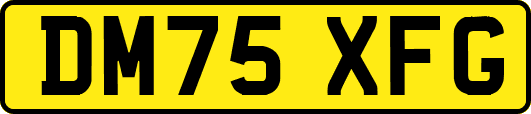 DM75XFG