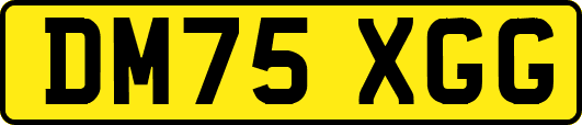 DM75XGG