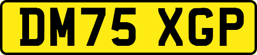 DM75XGP
