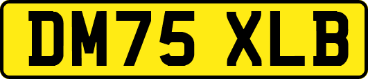 DM75XLB