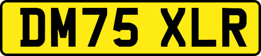 DM75XLR