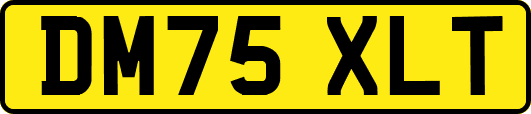 DM75XLT
