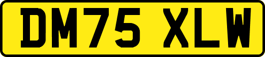 DM75XLW