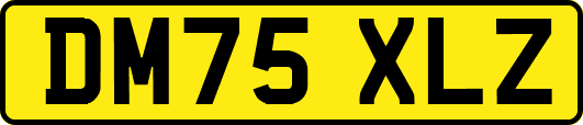 DM75XLZ