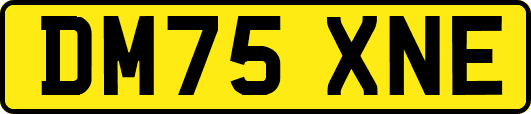 DM75XNE