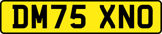 DM75XNO