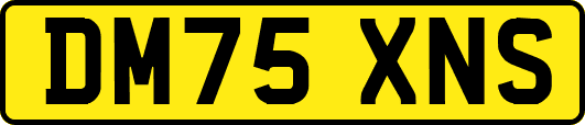 DM75XNS